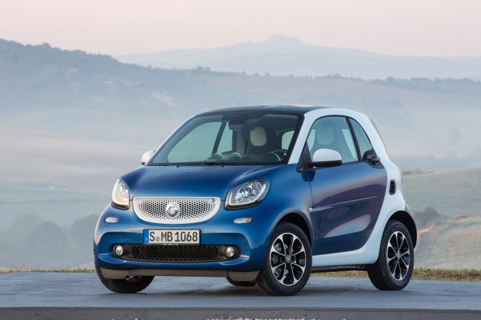Smart car interfaces