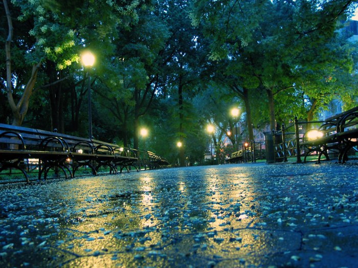 Rainy season car tips