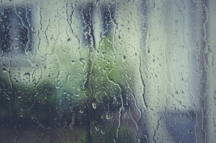 Rainy season car tips