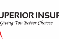 Insurance claim AI systems