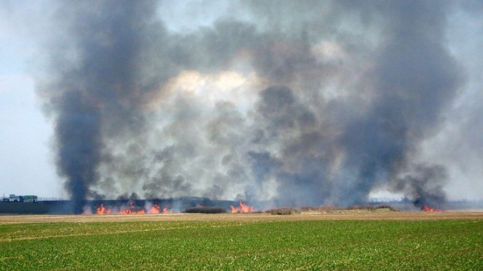 Greenhouse gas emissions — European Environment Agency Emissions scoring for drivers