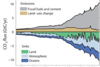 Carbon emissions